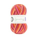 west-yorkshire-spinners-signature-4ply-winwick-mum-collection