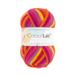 west-yorkshire-spinners-colour-lab-dk