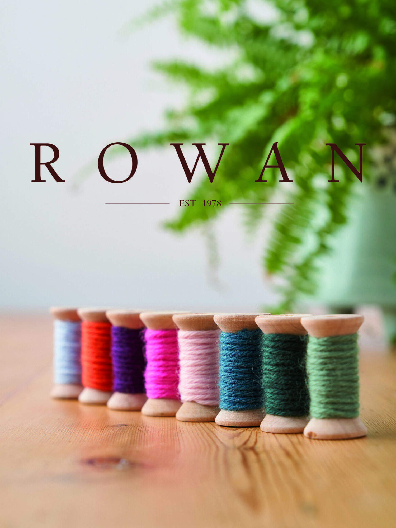 Rowan has arrived! featured image