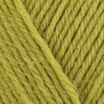 west-yorkshire-spinners-colour-lab-dk