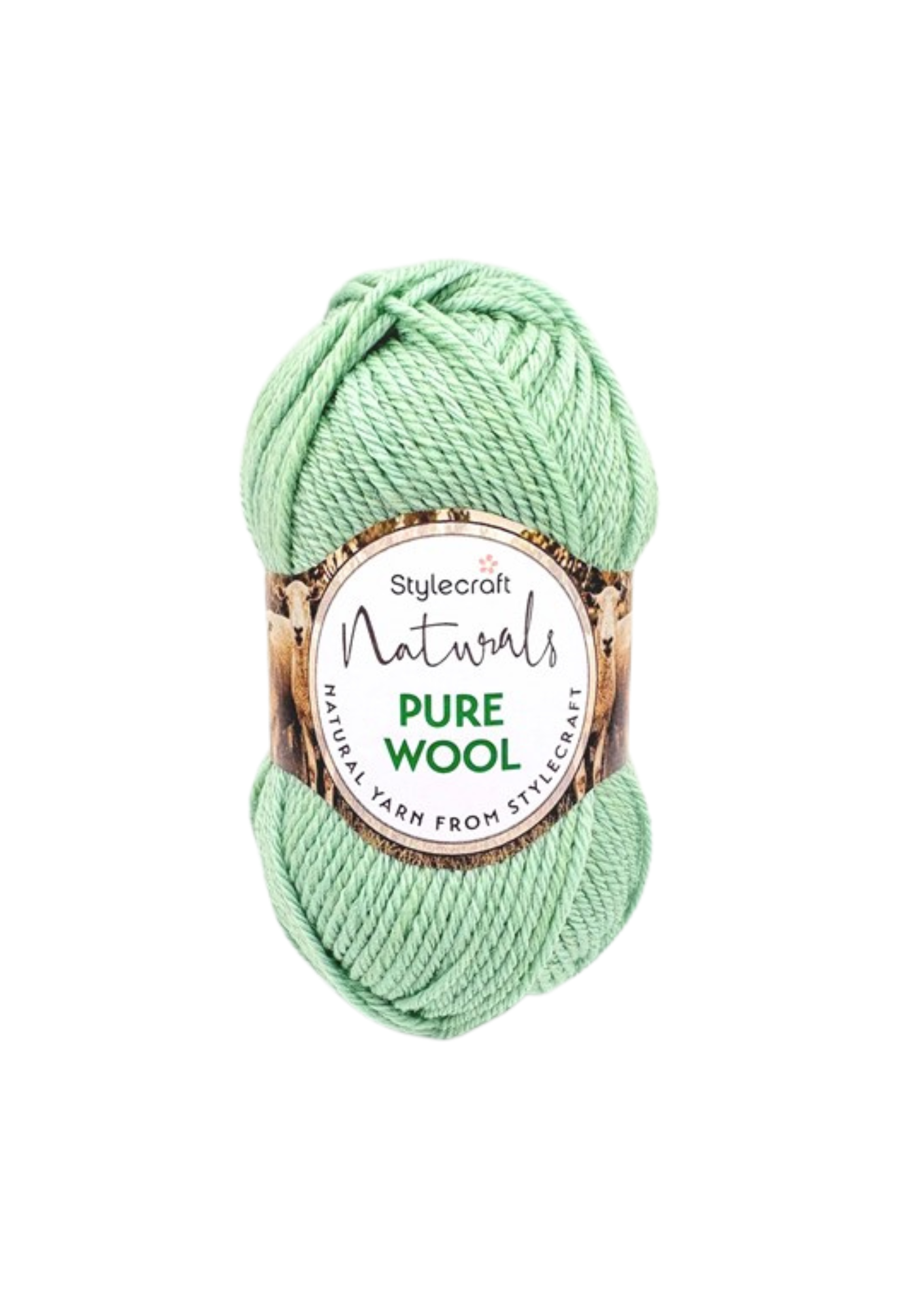 Stylecraft Naturals Pure Wool DK product image
